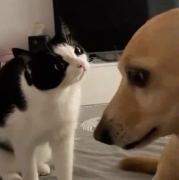 83 Wildly Weird Animal Pics That Will Totally Make Your Day