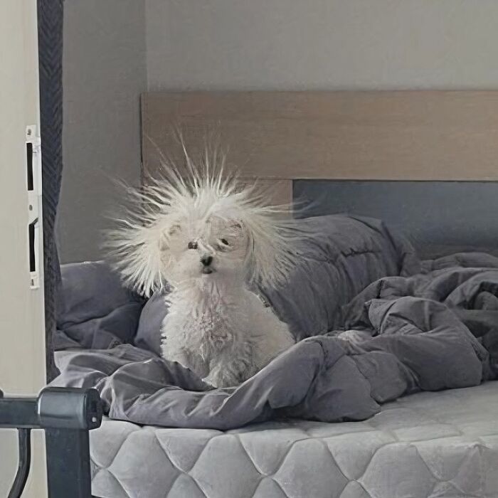 83 Wildly Weird Animal Pics That Will Totally Make Your Day