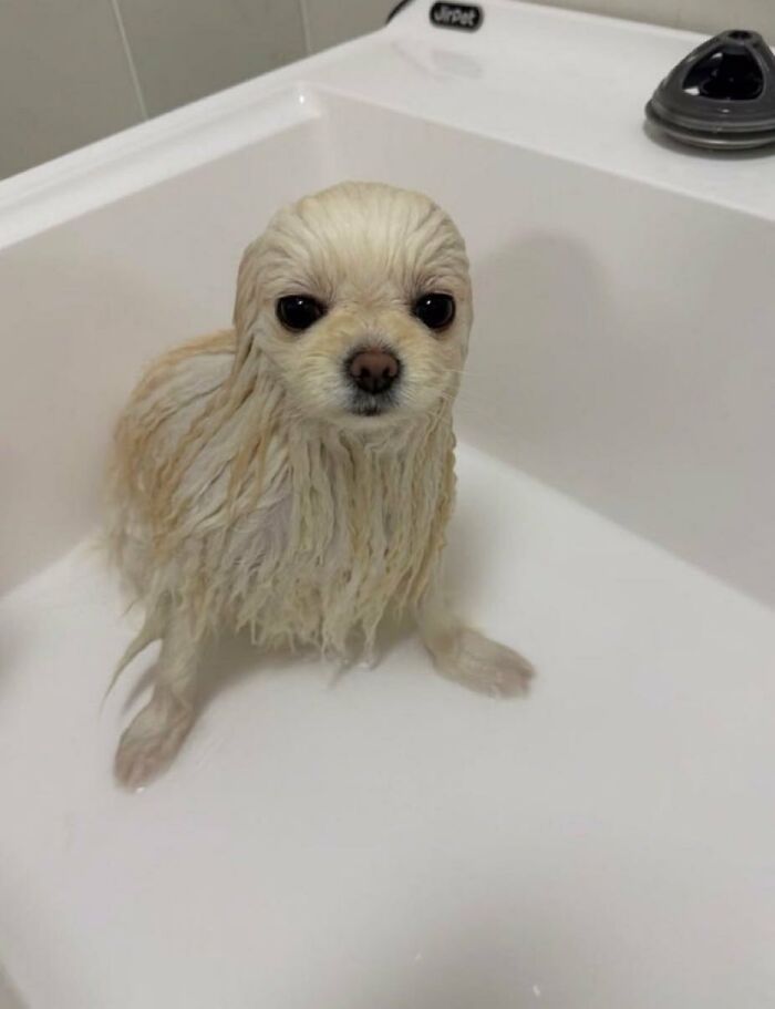 83 Wildly Weird Animal Pics That Will Totally Make Your Day