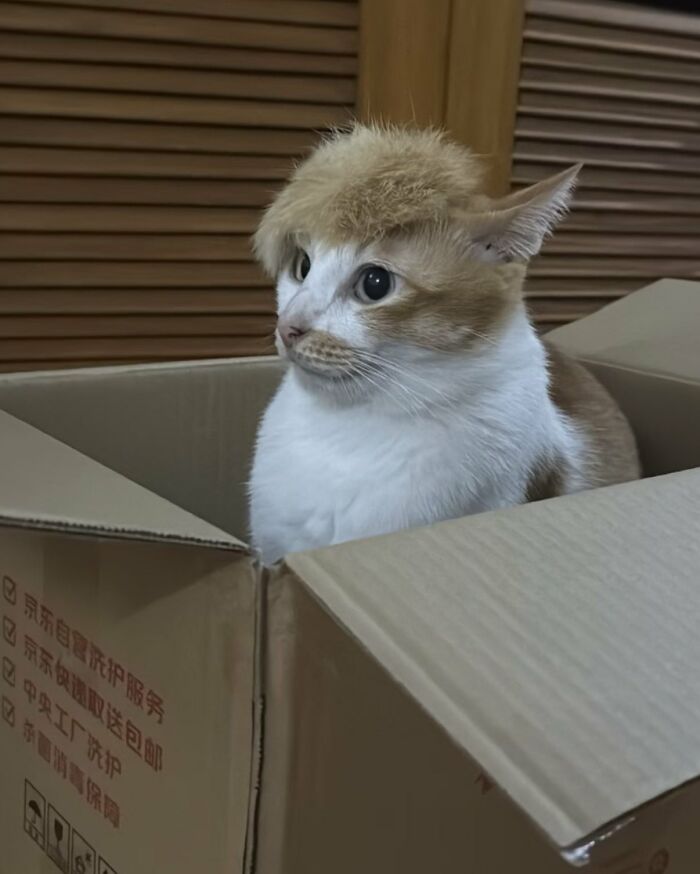 83 Wildly Weird Animal Pics That Will Totally Make Your Day