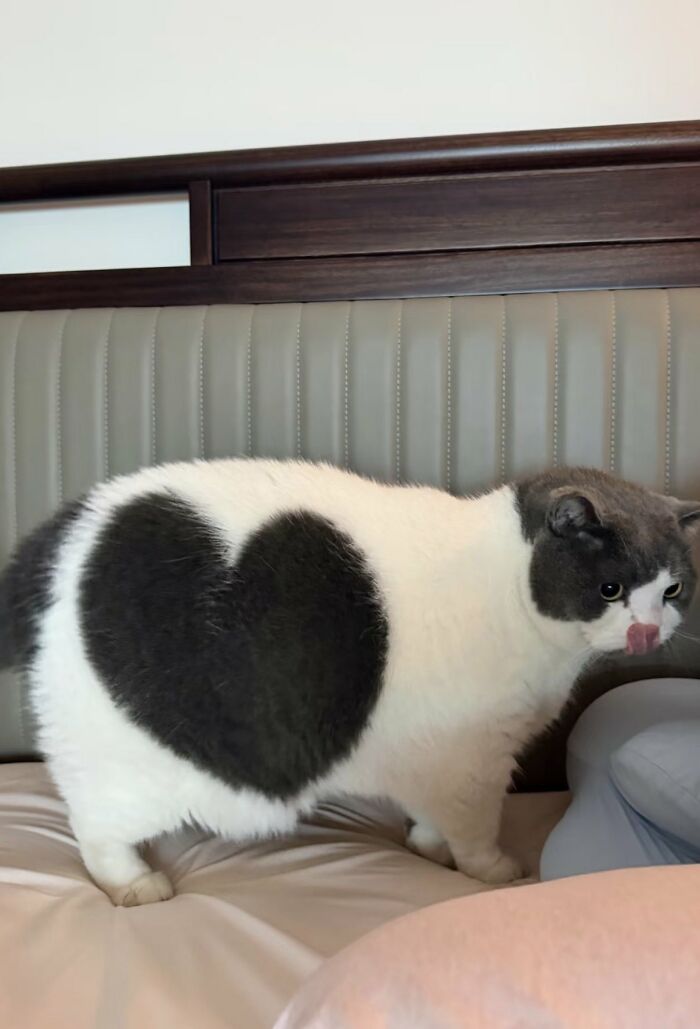 83 Wildly Weird Animal Pics That Will Totally Make Your Day