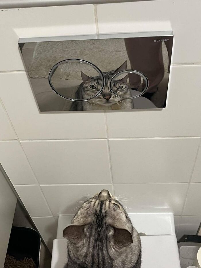 83 Wildly Weird Animal Pics That Will Totally Make Your Day