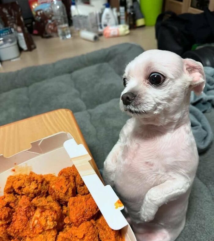 83 Wildly Weird Animal Pics That Will Totally Make Your Day
