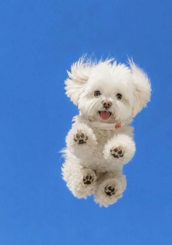 83 Wildly Weird Animal Pics That Will Totally Make Your Day