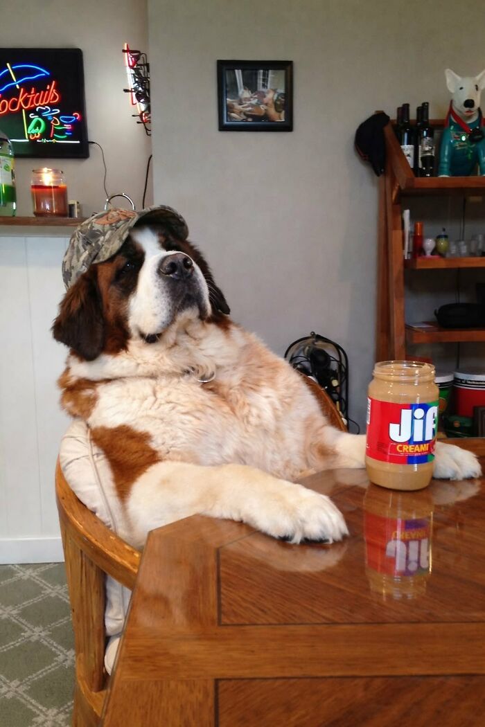 83 Wildly Weird Animal Pics That Will Totally Make Your Day