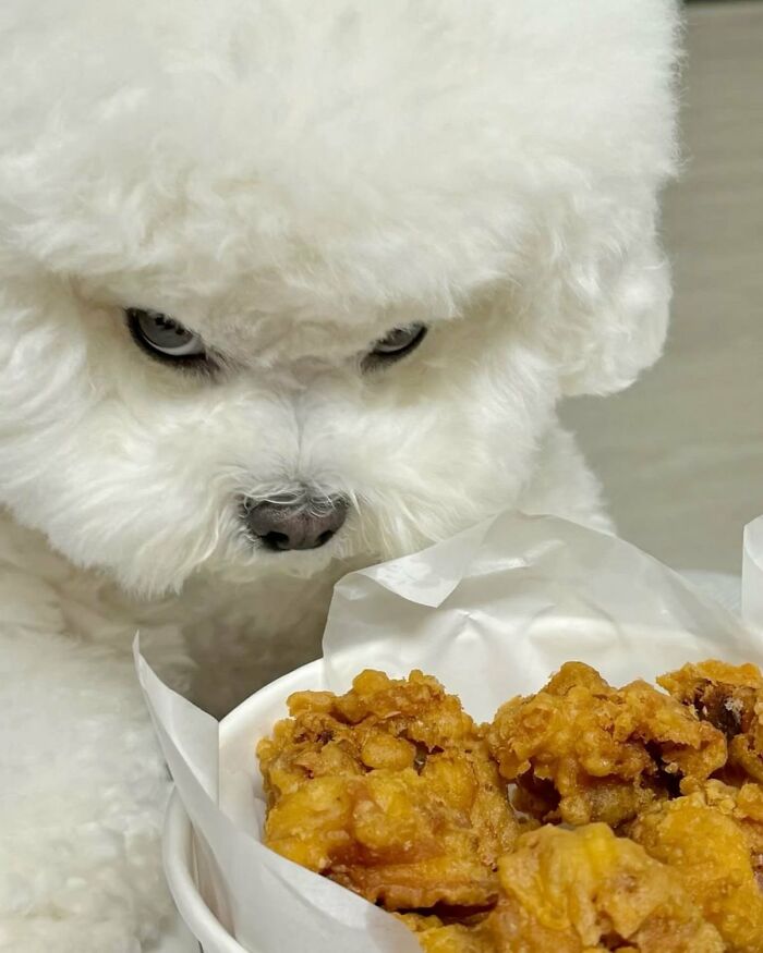 83 Wildly Weird Animal Pics That Will Totally Make Your Day