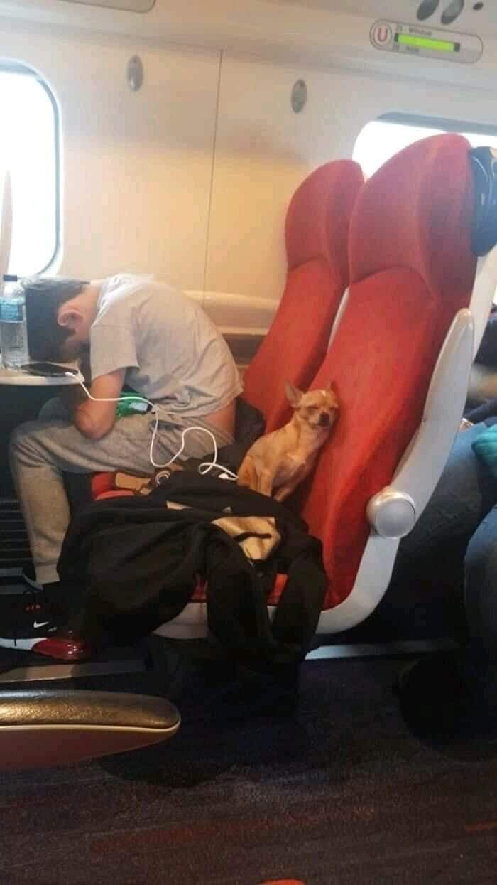 83 Wildly Weird Animal Pics That Will Totally Make Your Day