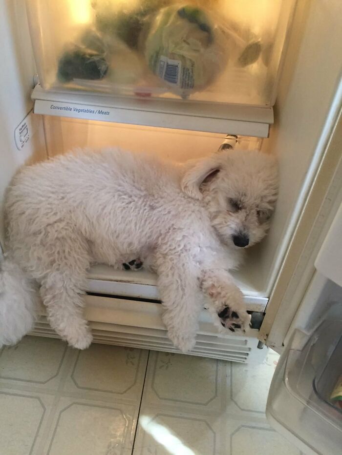83 Wildly Weird Animal Pics That Will Totally Make Your Day