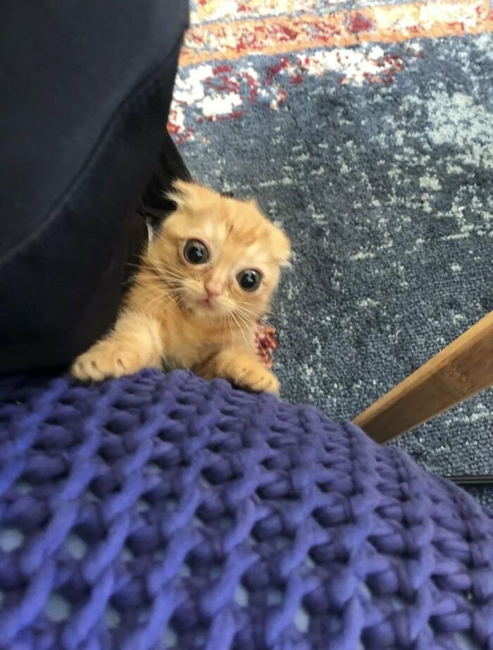 83 Wildly Weird Animal Pics That Will Totally Make Your Day