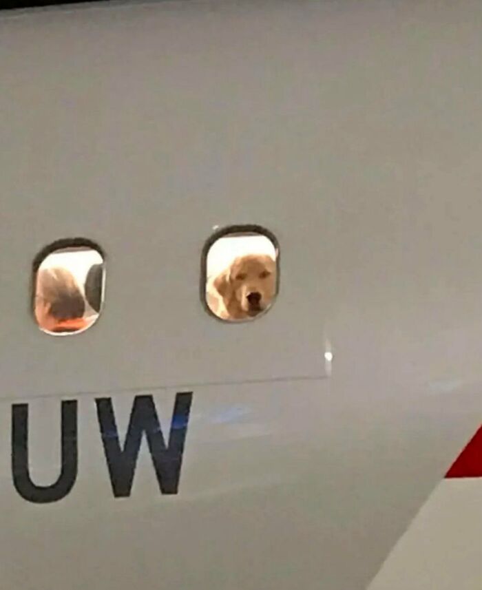 83 Wildly Weird Animal Pics That Will Totally Make Your Day