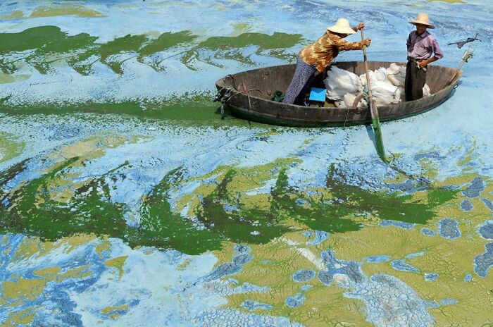 Fishing in a Lake That Looks Like Green Jello (With Algae!)