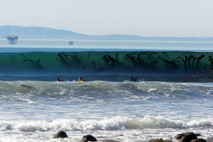 Wait, These Photos Are 100% Real? Nope, No Photoshop Here!