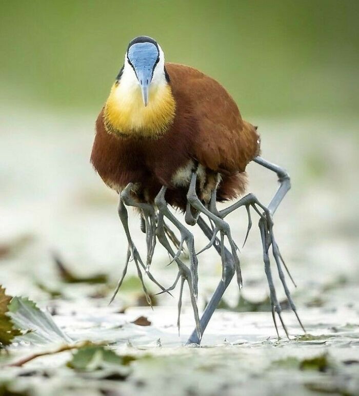 Wait, These Photos Are 100% Real? Nope, No Photoshop Here!