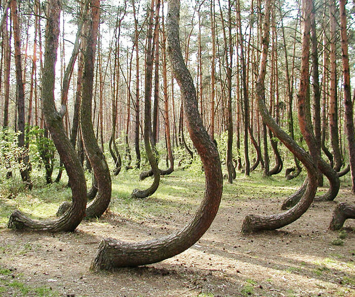Wait, These Photos Are 100% Real? Nope, No Photoshop Here!