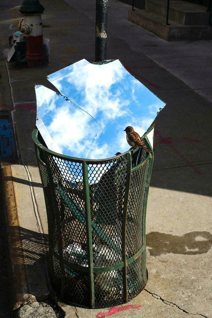 Wait, These Photos Are 100% Real? Nope, No Photoshop Here!