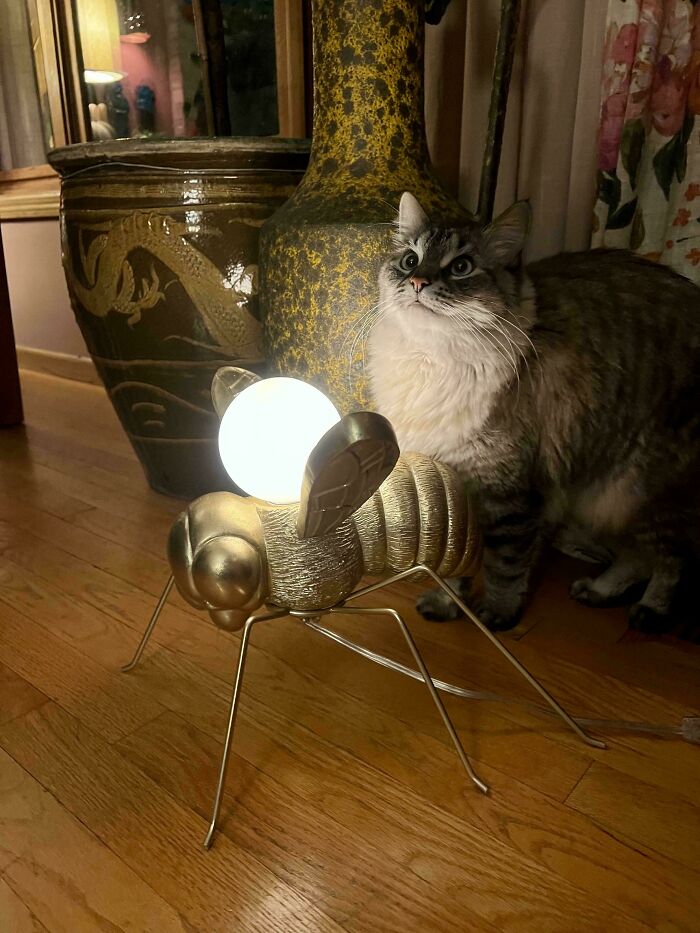 Wait Till You See These Thrift Store Wins That’ll Totally Surprise You