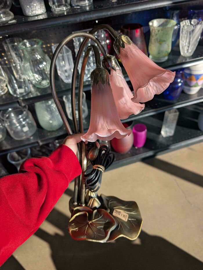 Wait Till You See These Thrift Store Wins That’ll Totally Surprise You