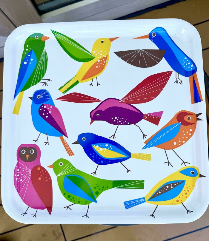 Wait Till You See These Thrift Store Wins That’ll Totally Surprise You