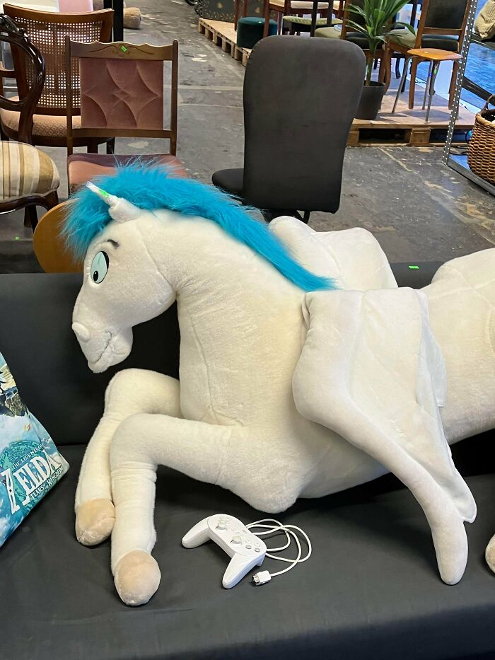 Wait Till You See These Thrift Store Wins That’ll Totally Surprise You