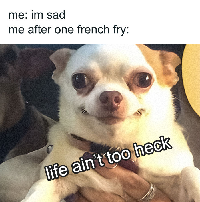 25 Neurodivergent Memes That Are Way Too Relatable (For Anyone with a Spicy Brain)