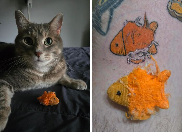 Cats’ Favorite Toy Tattoo? Done And Loving It!