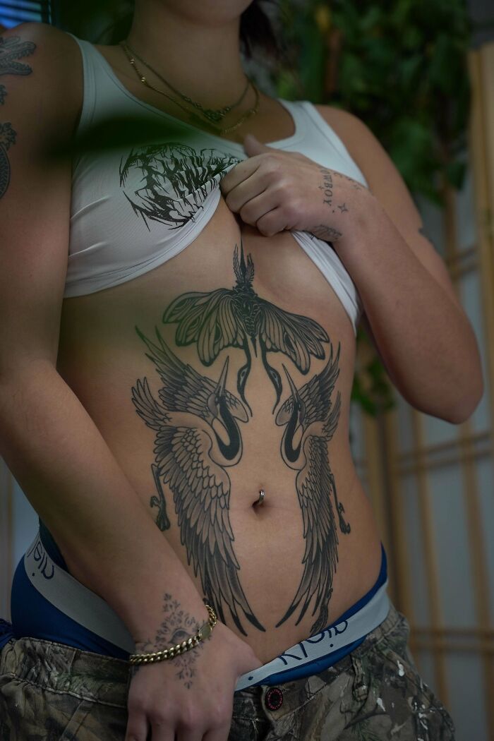 Cranes And Moth: Nature Ink At Its Best