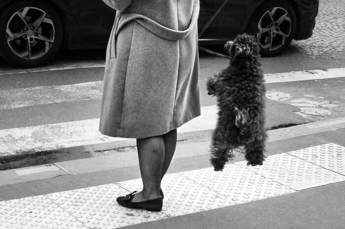 Wait, Paris Like You've Never Seen It! 40 Pics That'll Totally Surprise You