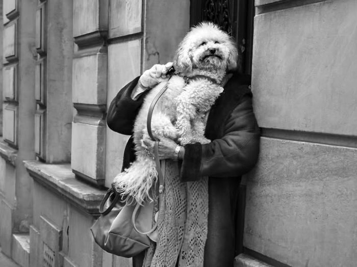 Wait, Paris Like You've Never Seen It! 40 Pics That'll Totally Surprise You