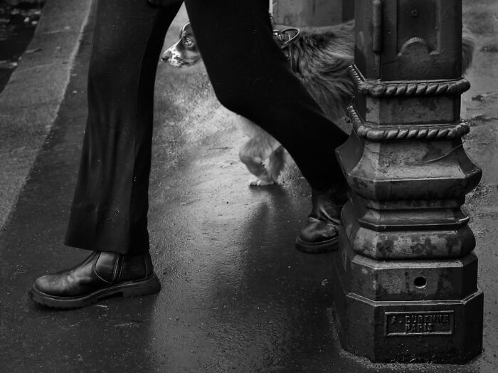 Wait, Paris Like You've Never Seen It! 40 Pics That'll Totally Surprise You