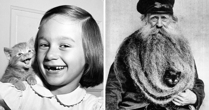 29 Vintage Animal Pics That Totally Stole The Spotlight