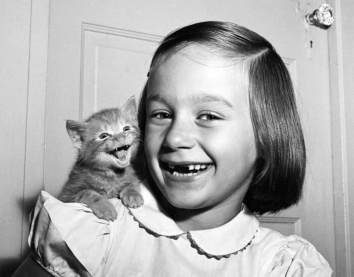 29 Vintage Animal Pics That Totally Stole The Spotlight