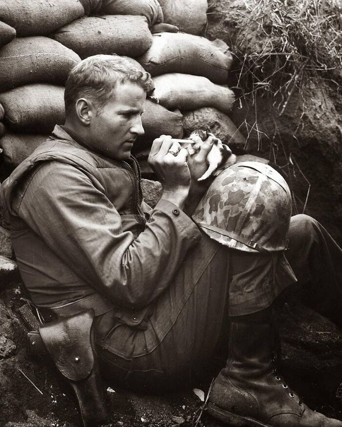 29 Vintage Animal Pics That Totally Stole The Spotlight