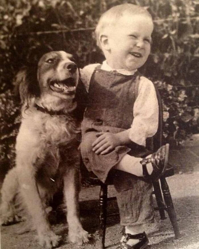 29 Vintage Animal Pics That Totally Stole The Spotlight