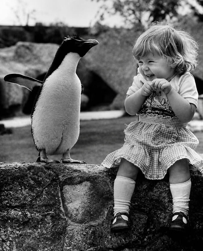 29 Vintage Animal Pics That Totally Stole The Spotlight