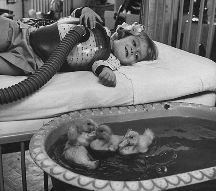 29 Vintage Animal Pics That Totally Stole The Spotlight
