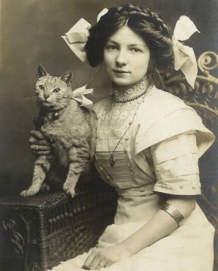 29 Vintage Animal Pics That Totally Stole The Spotlight