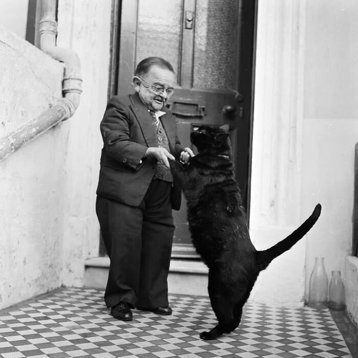 29 Vintage Animal Pics That Totally Stole The Spotlight