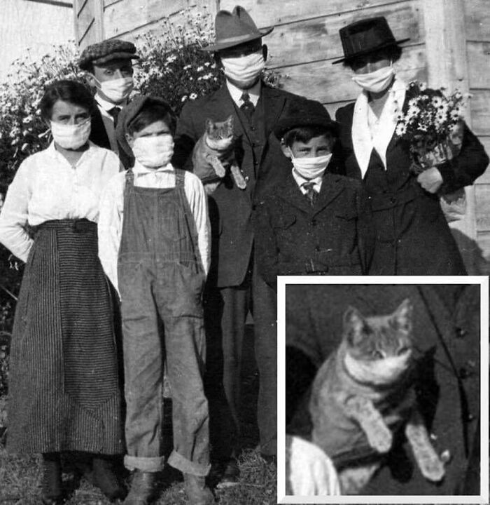 29 Vintage Animal Pics That Totally Stole The Spotlight