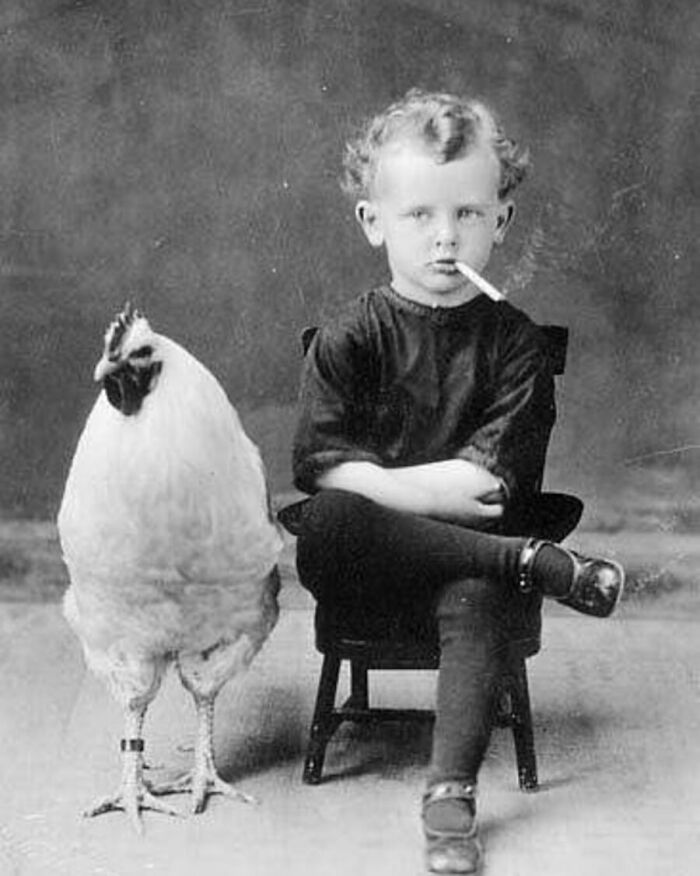 29 Vintage Animal Pics That Totally Stole The Spotlight