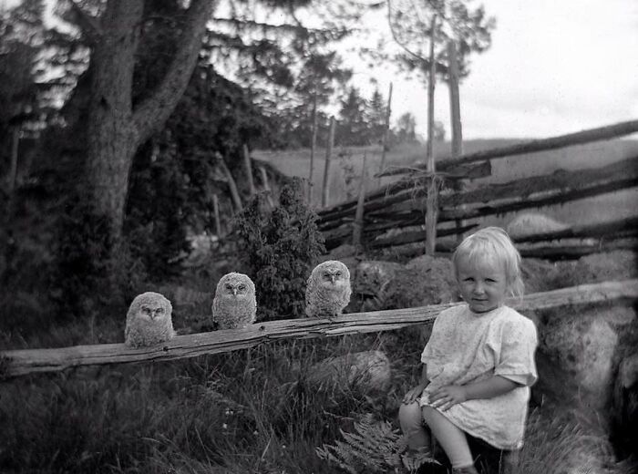 29 Vintage Animal Pics That Totally Stole The Spotlight