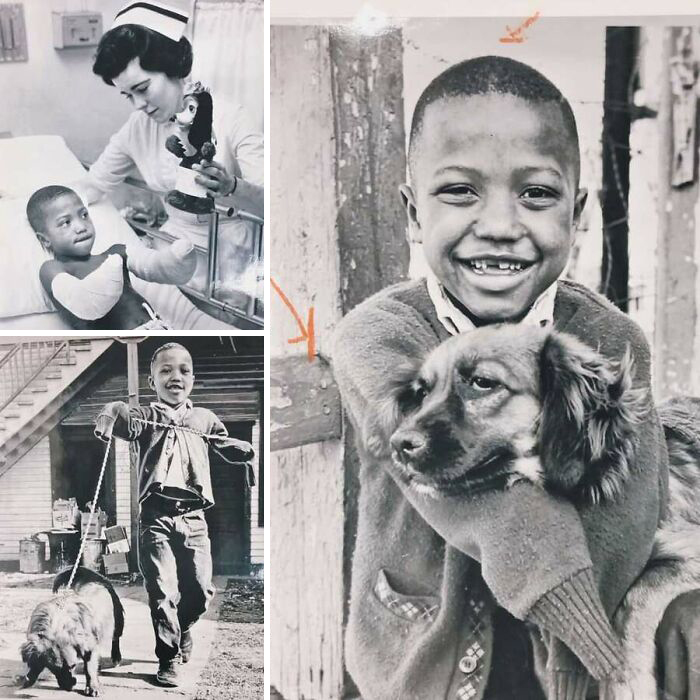 29 Vintage Animal Pics That Totally Stole The Spotlight