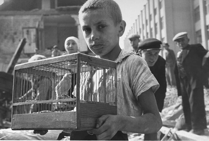 29 Vintage Animal Pics That Totally Stole The Spotlight