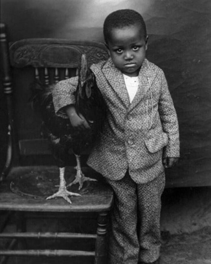 29 Vintage Animal Pics That Totally Stole The Spotlight