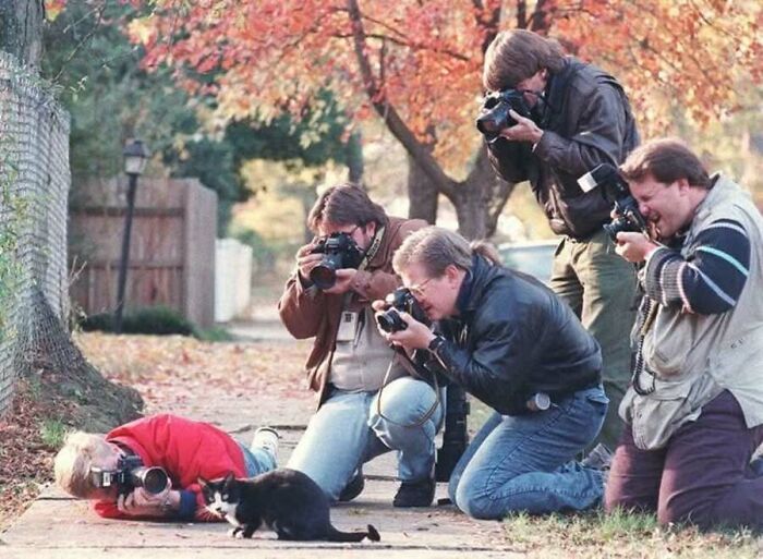 29 Vintage Animal Pics That Totally Stole The Spotlight