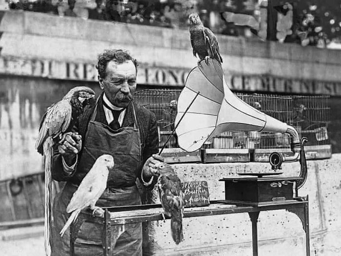 29 Vintage Animal Pics That Totally Stole The Spotlight