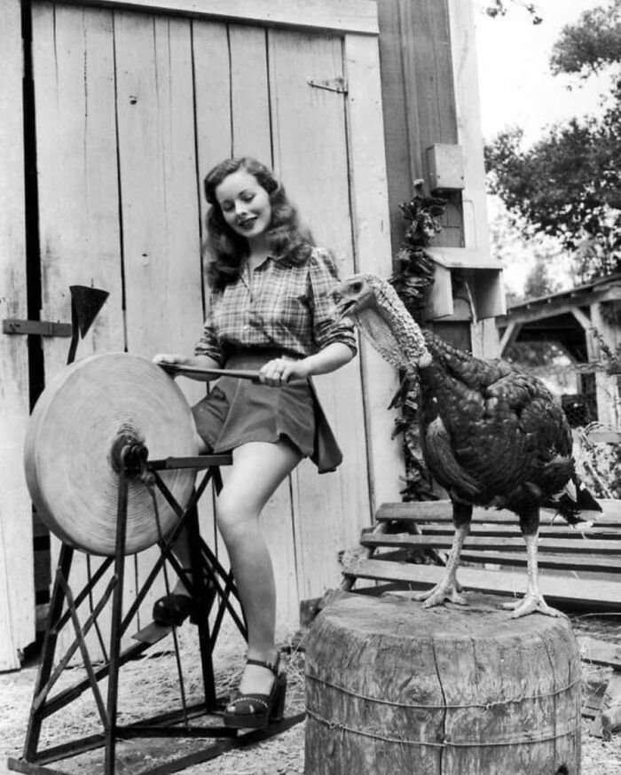 29 Vintage Animal Pics That Totally Stole The Spotlight
