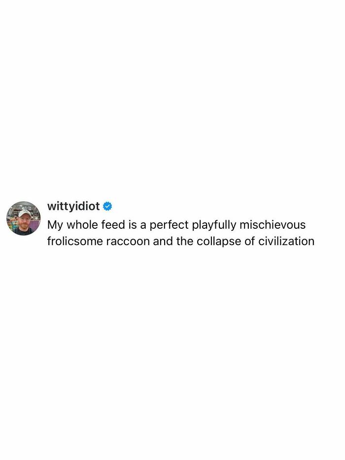 These Hilariously Real Tweets From “Witty Idiot” Will Totally Crack You Up