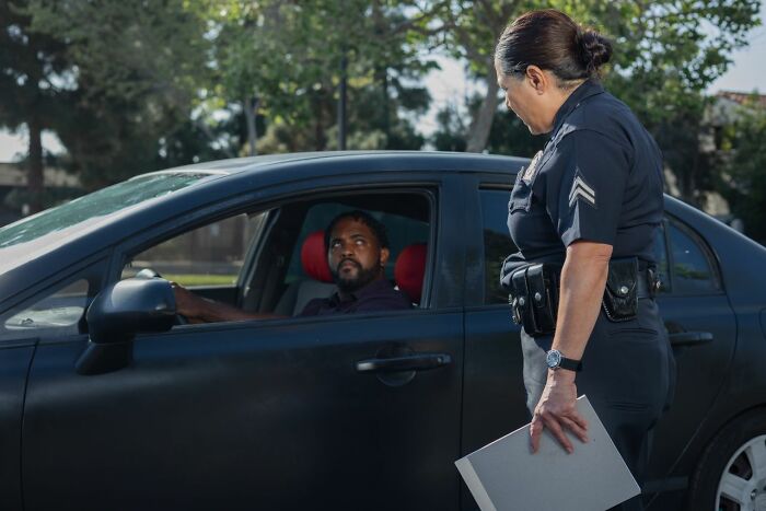 Unexpected Courtroom Chaos: The Wildest Legal Stories You Have to Hear to Believe