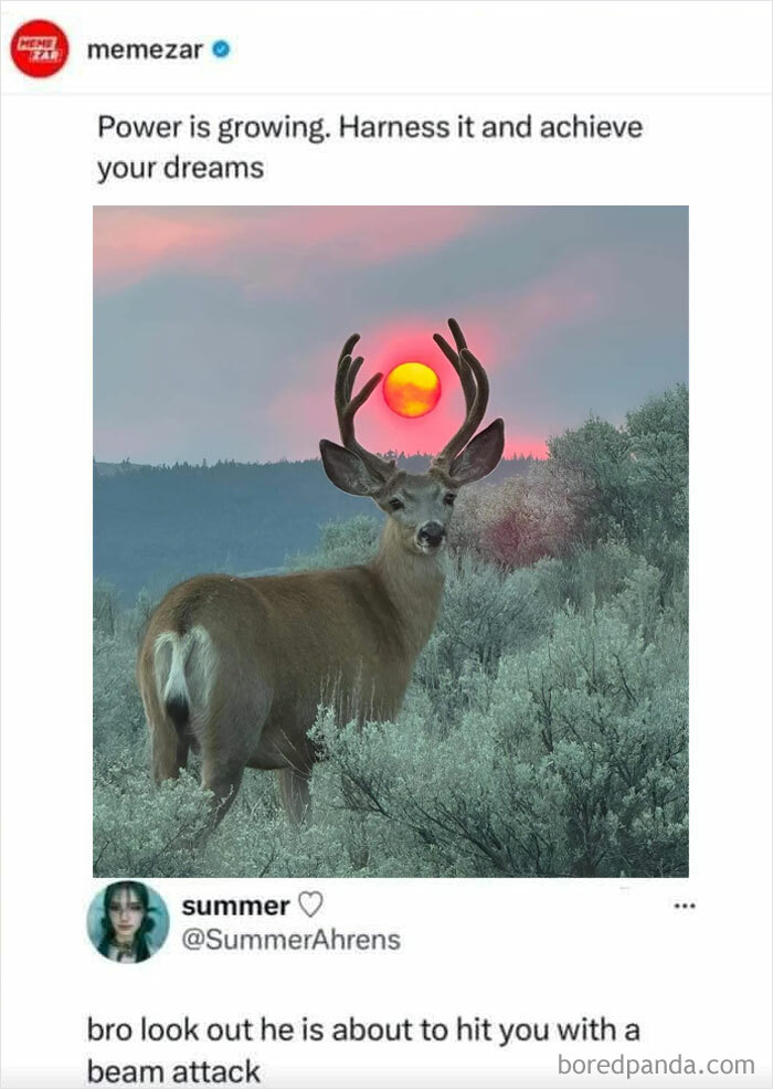 Deer, The Ever-Charging Energy Machine