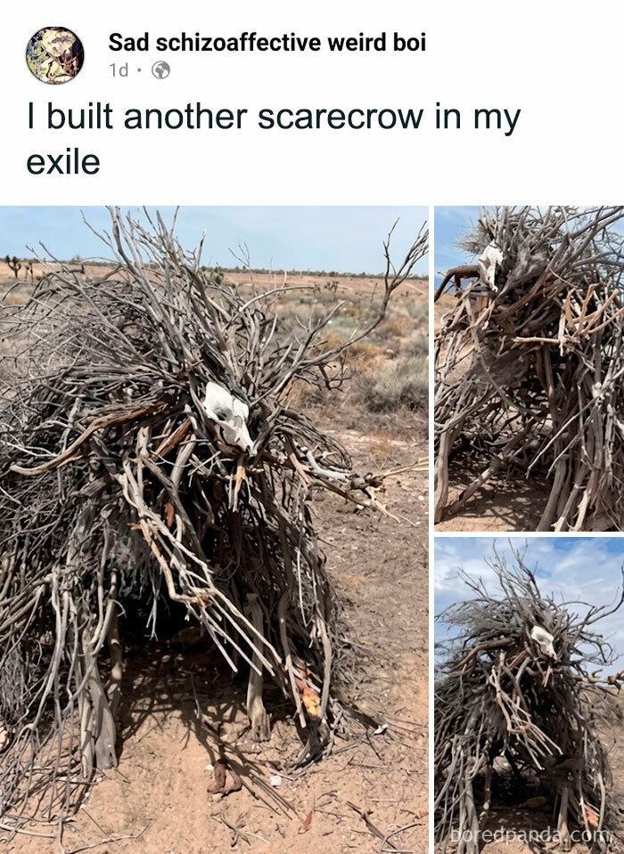 The Windiscrow: Guardian of the Exile